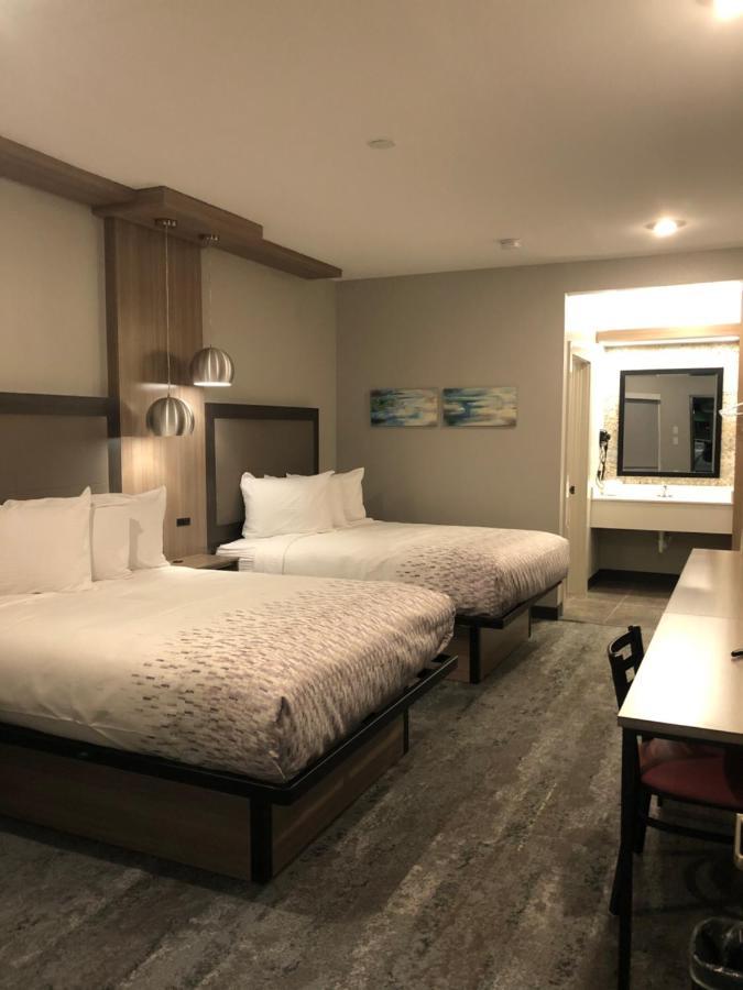 Hotel Solara I-45 & Hobby Airport 休斯敦 外观 照片
