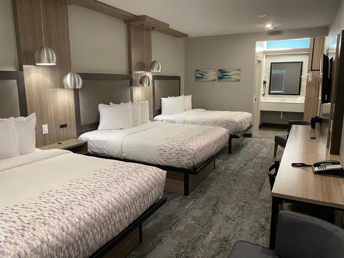 Hotel Solara I-45 & Hobby Airport 休斯敦 外观 照片